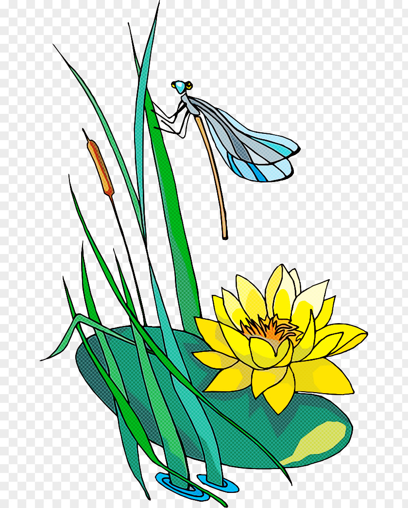 Plant Flower Yellow Grass Coloring Book PNG