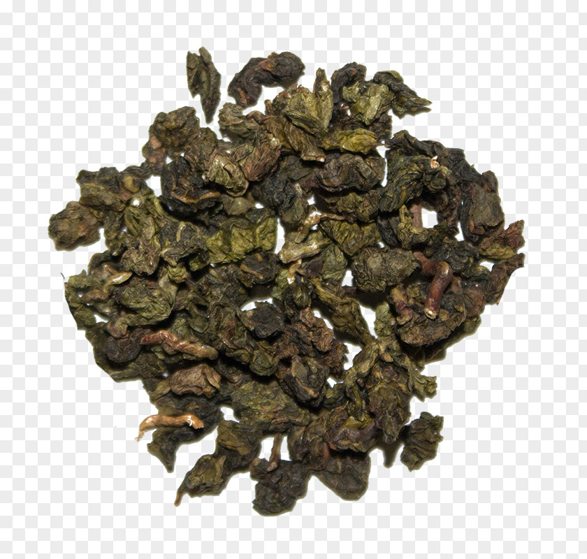 Tea Oolong Green Jasmine PNG