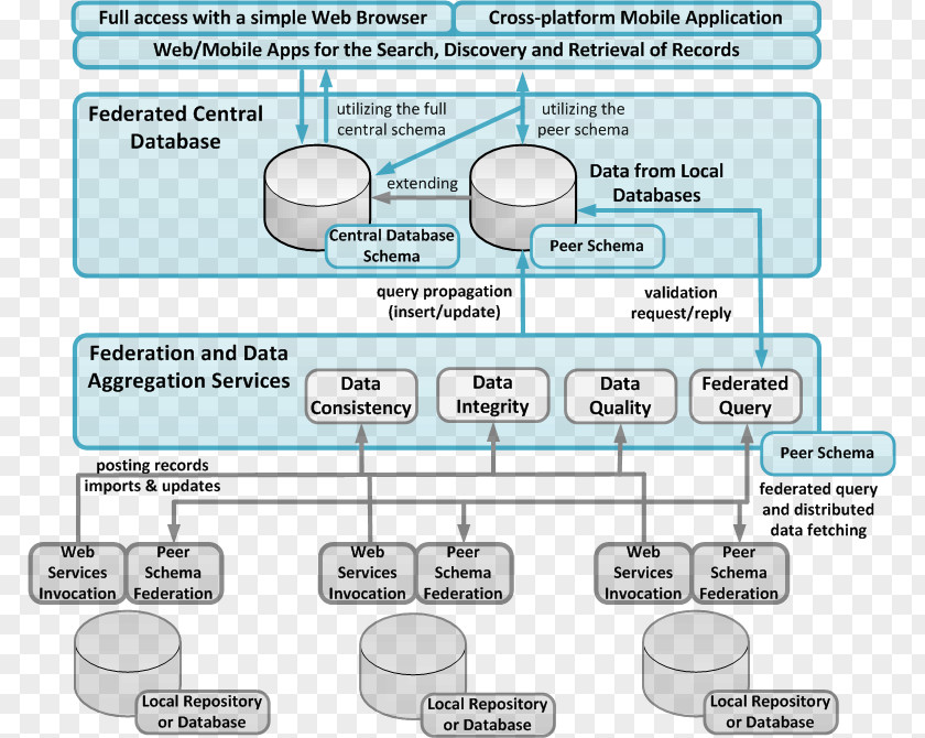 Distributed Database Federated System Schema Federation PNG