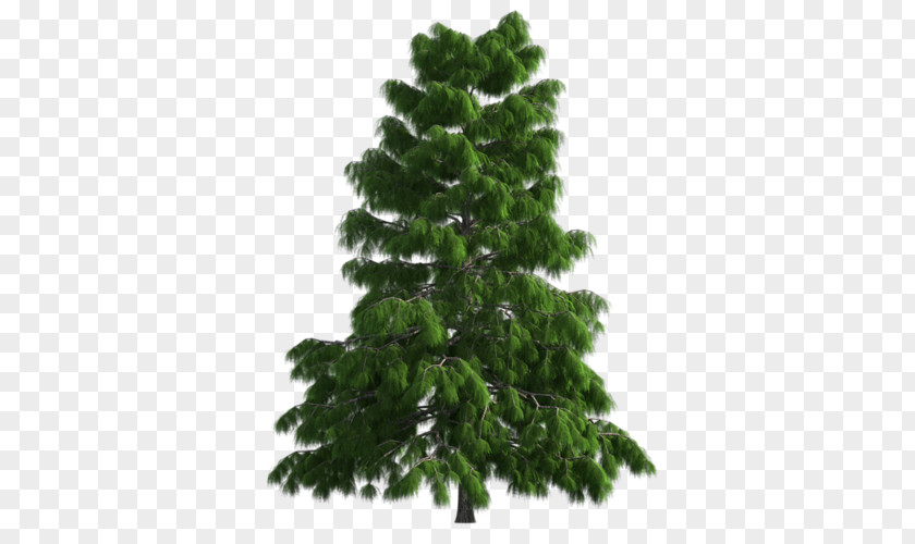 Tree Artificial Christmas Nordmann Fir Green PNG