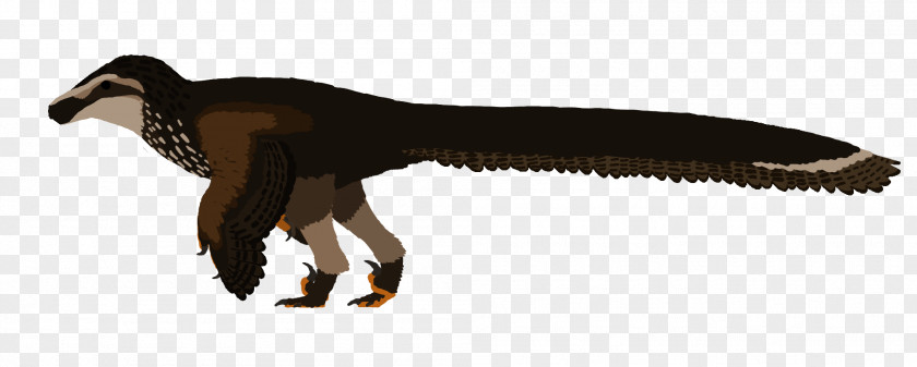 Brown Feathers Dakotaraptor Saurian Velociraptor Tyrannosaurus Deinonychus PNG