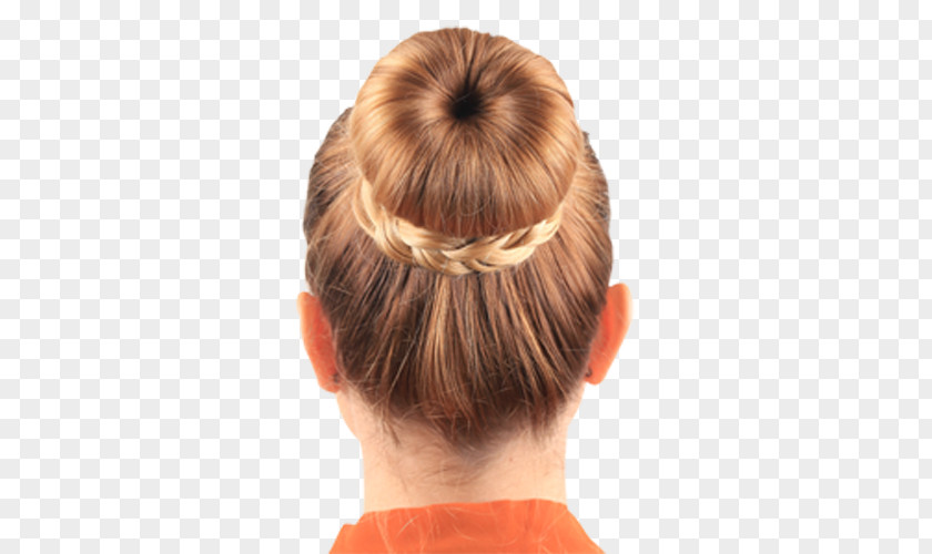 Bun Hairstyle Updo Braid PNG