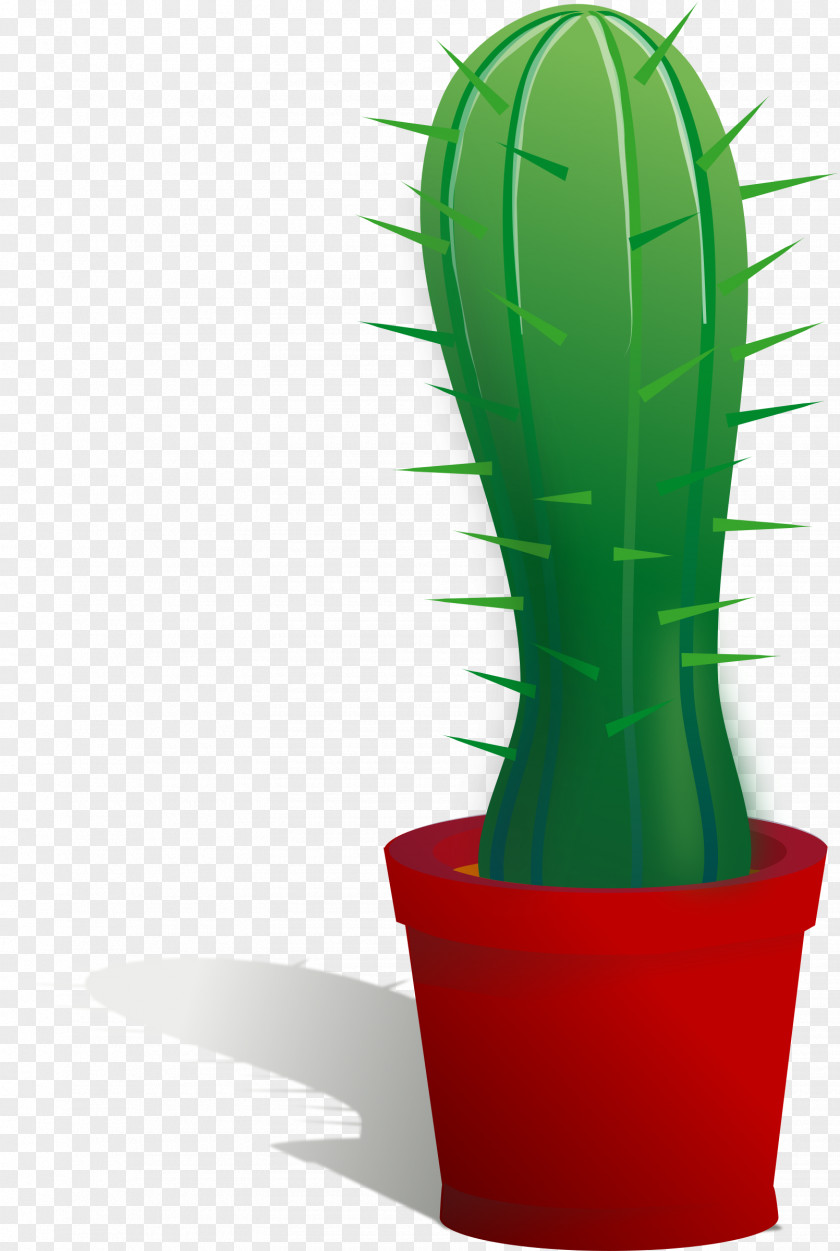 Cactus Cactaceae Clip Art PNG