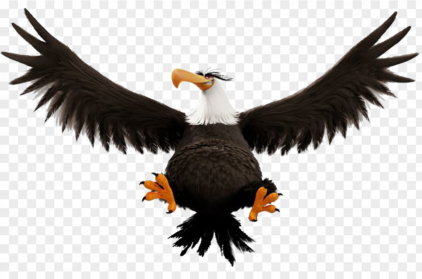 Eagle Angry Birds Rio Epic Star Wars 2 Space PNG