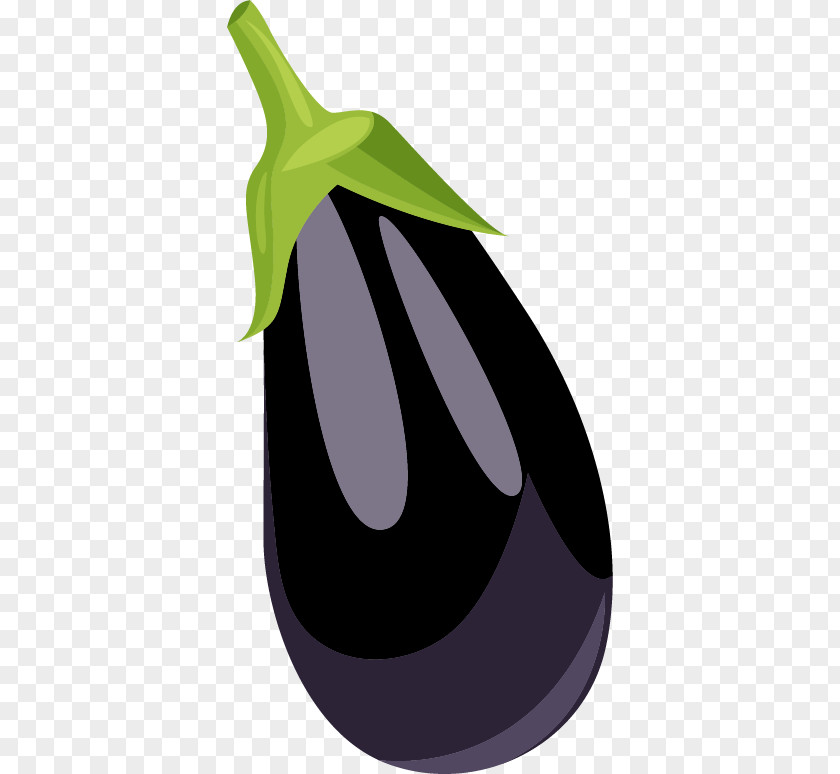 Eggplant Vector Material PNG