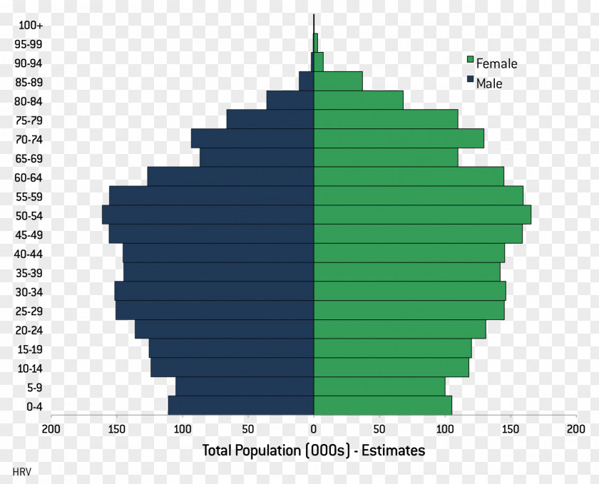 Labour Population Pyramid World Library PNG
