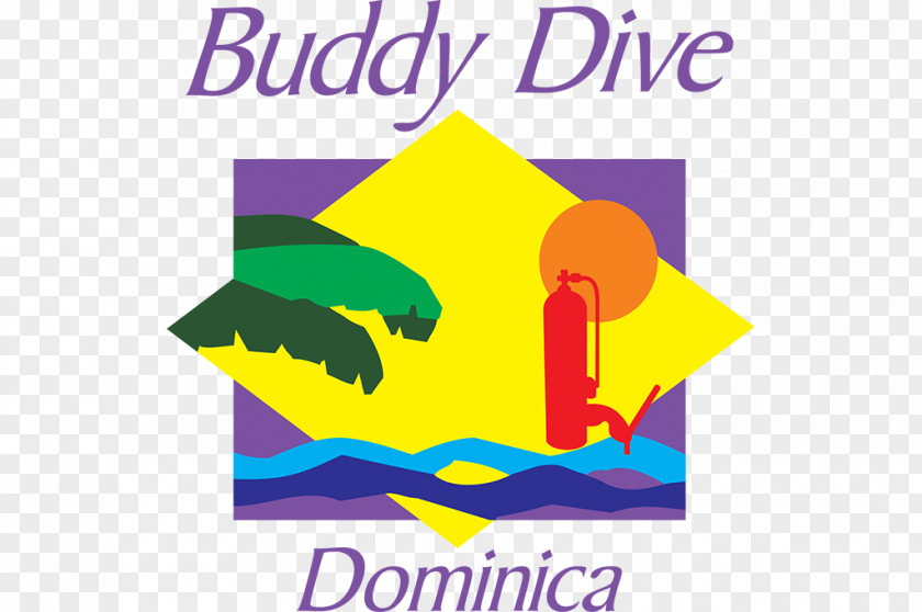 Two Eleven Came Buddy Dive Resort Center Scuba Diving Underwater PNG