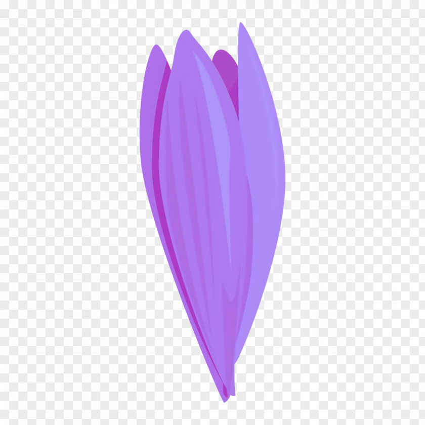 Magenta Crocus Feather PNG