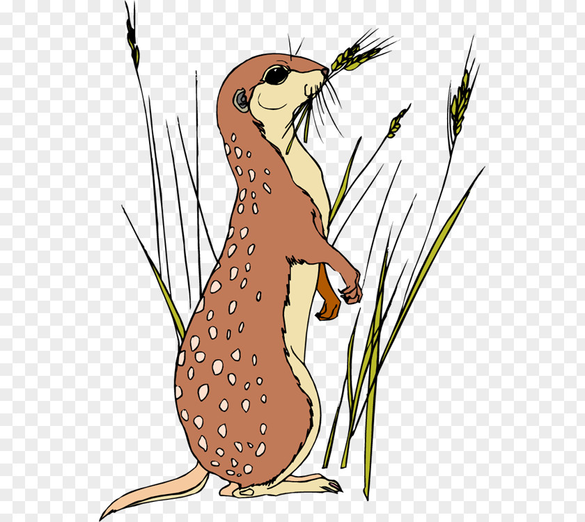 Meerkat Cliparts Animation Clip Art PNG