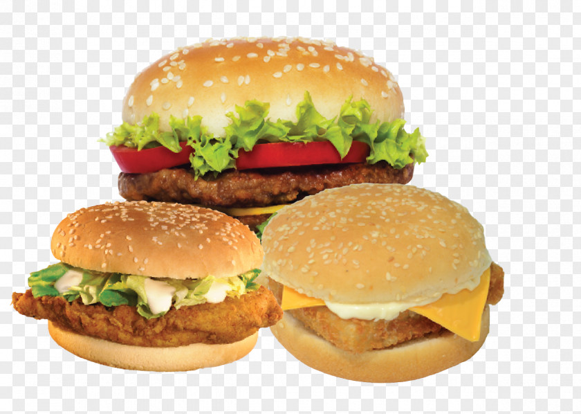 Pizza Hamburger Fast Food French Fries PNG
