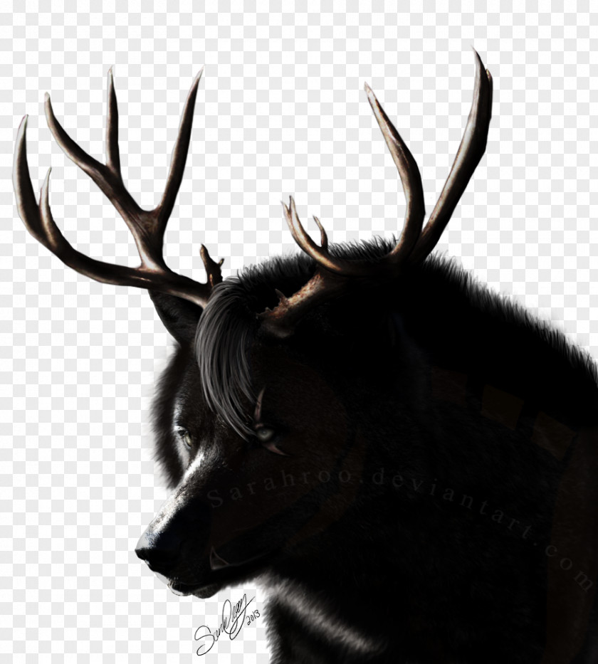 Wolf Lamb Reindeer Elk Antler Wildlife Snout PNG