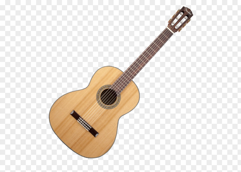 Acoustic Gig Guitar Classical Takamine Guitars PNG
