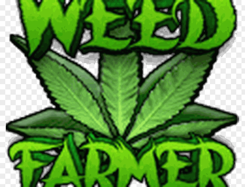Cannabis Weed Farmer Overgrown University Wiz Khalifa's Farm Happy PNG