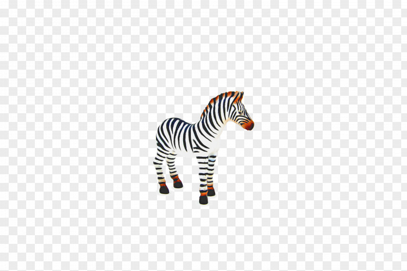 Mane Snout Zebra Cartoon PNG