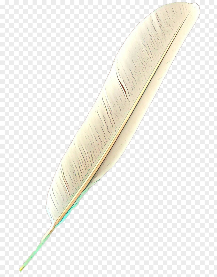 Natural Material Fashion Accessory Feather PNG