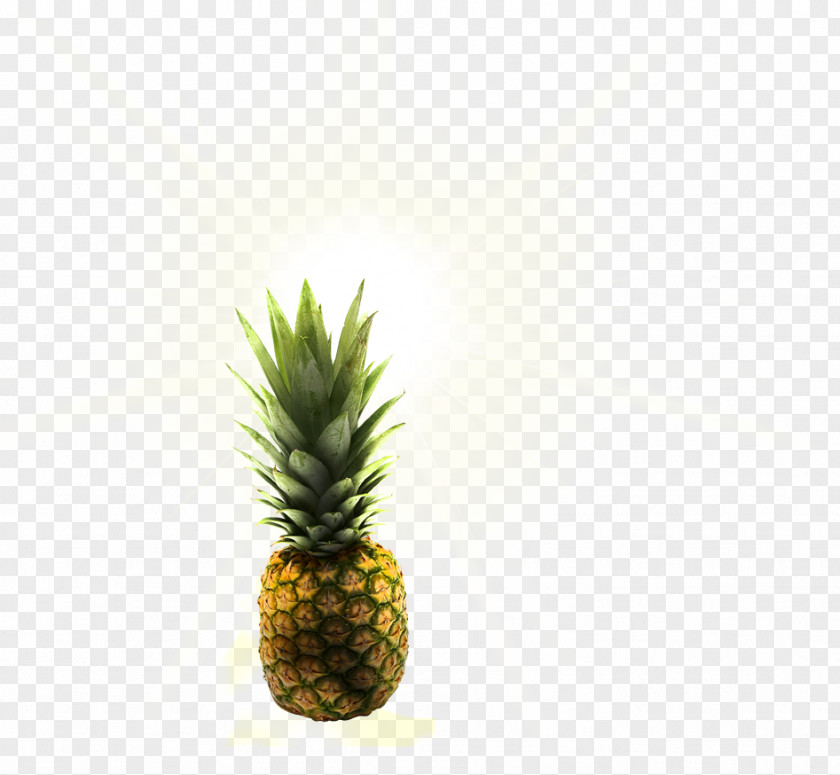 Pineapple Smoothie Juice Cafe Food PNG