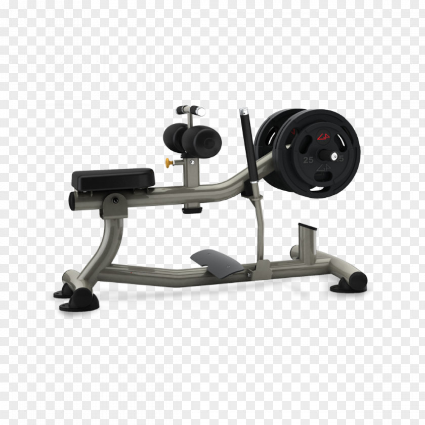 Calf Raises Exercise Equipment Bench Fitness Centre PNG