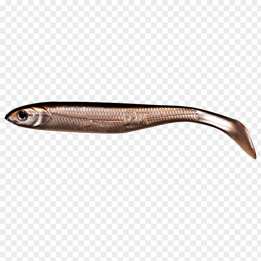 Longhorn Herring Forage Fish Fishing Clonk PNG