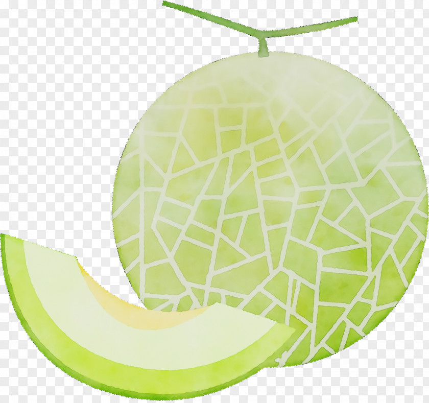 Melon Fruit PNG