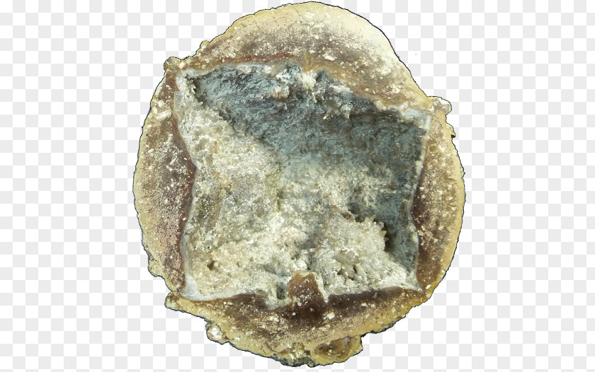 Opal Geode Mineral Thunderegg Artifact Sales Crystal PNG
