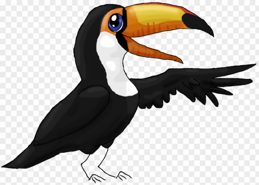 Toucan Outline Stitch Bird Clip Art PNG