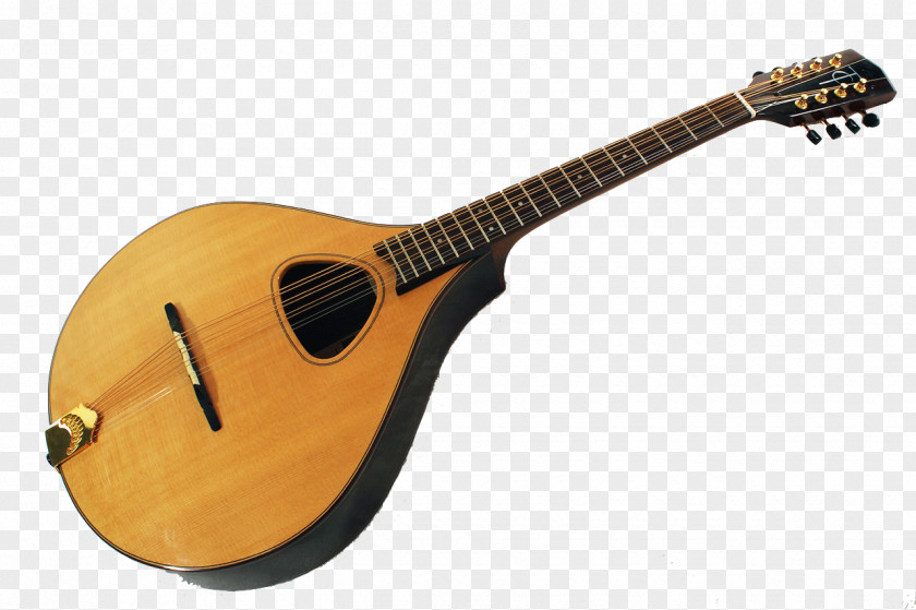 Acoustic Guitar Mandolin Tiple Cuatro Uilleann Pipes PNG