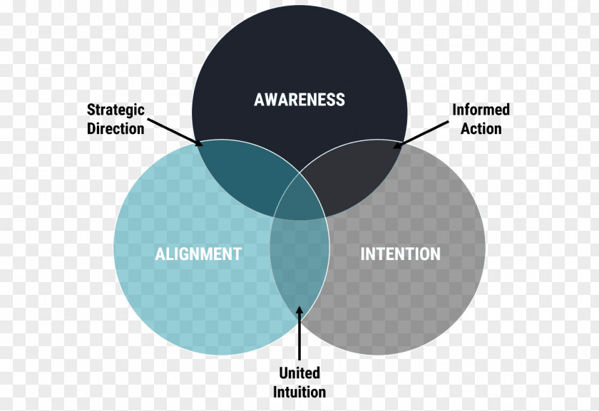 Common Sense Product Design Graphics Brand Diagram PNG