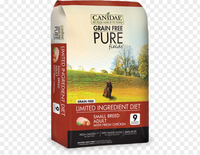 Date Element Tag Dog Food Cat Canidae PNG