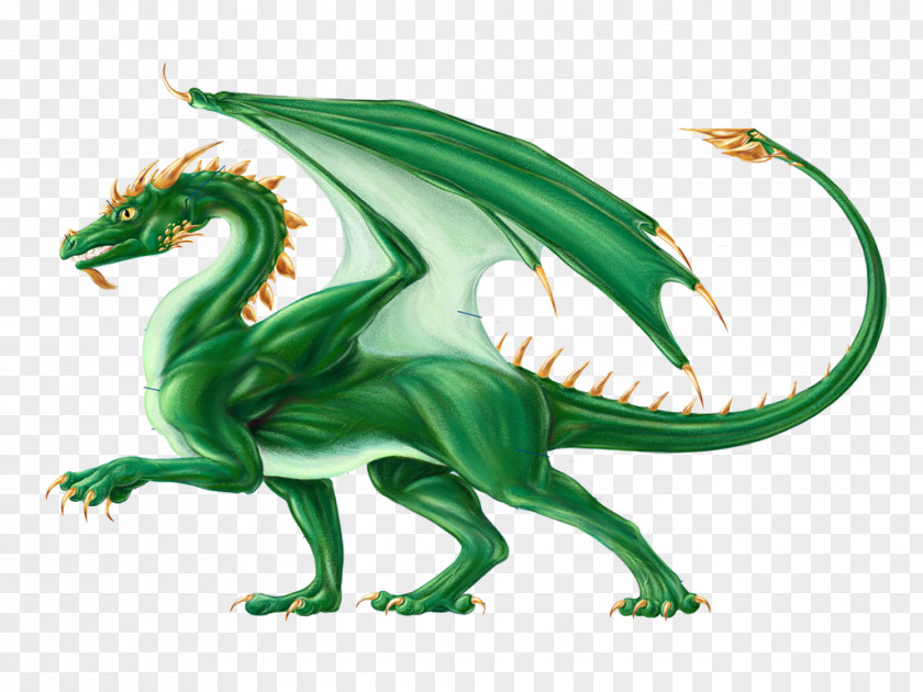 Dragon Chinese Legendary Creature Anatomy Human Body PNG