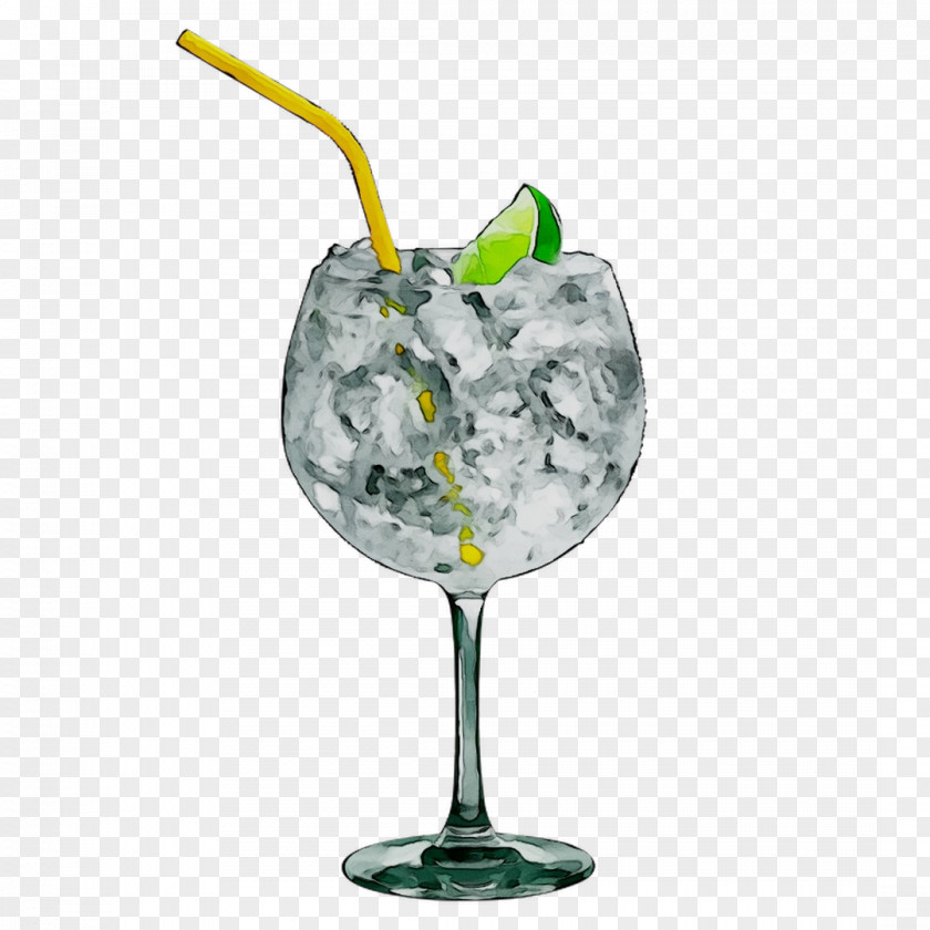 Gin And Tonic Vodka Cocktail Garnish PNG