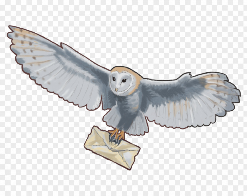 Harry Potter Owl Graphite DeviantArt Oldies Figurine Sketch PNG