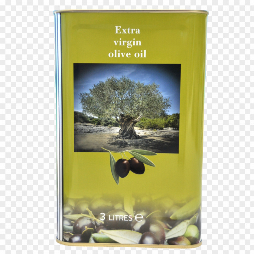 Olive Oil Saturated Fat Archiwum Allegro Calorie PNG