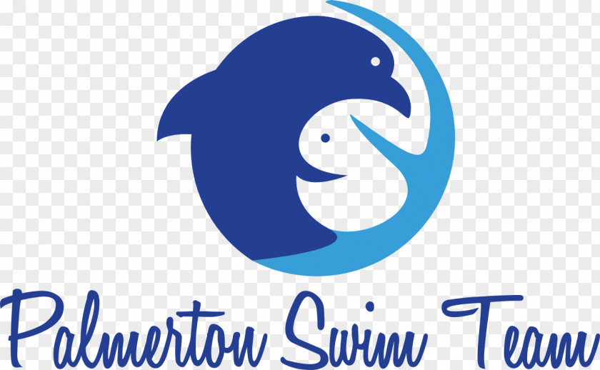 Swimming Competiton Porpoise Palmerton Memorial Park BB Cream Registration 2018 PNG