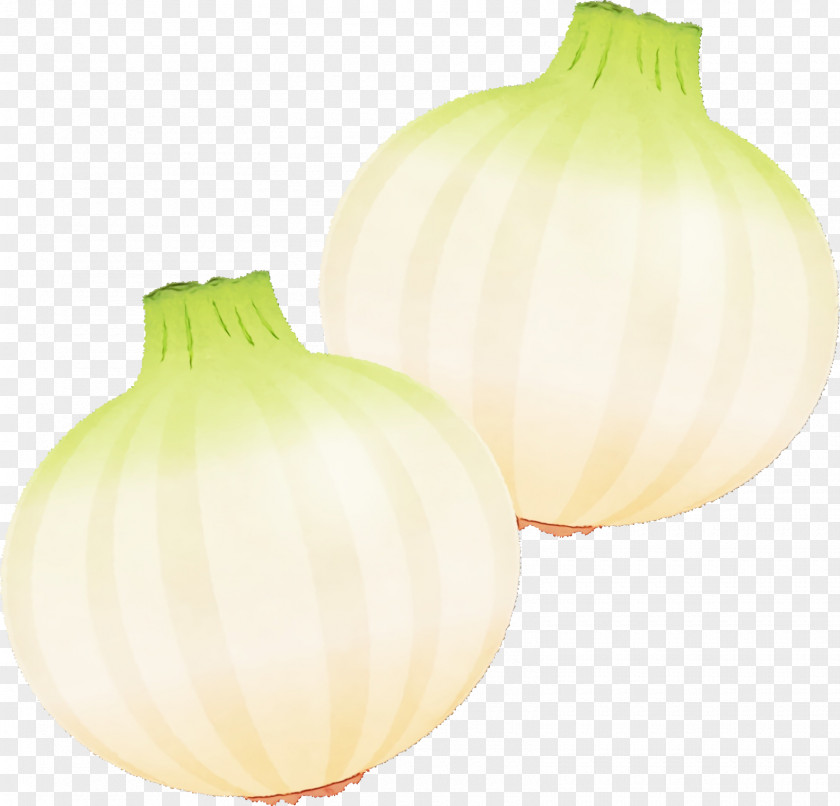 Yellow Onion PNG