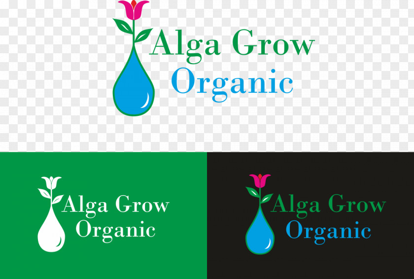 Alga Poster Logo Font Brand Bodoni Product PNG