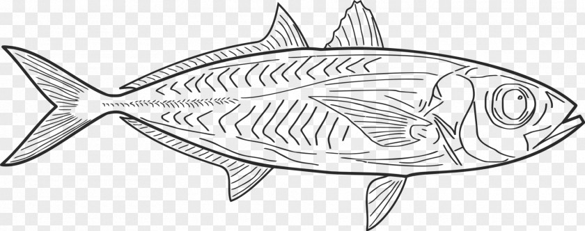 Black And White Salmon Drawing Clip Art Line Vector Graphics PNG