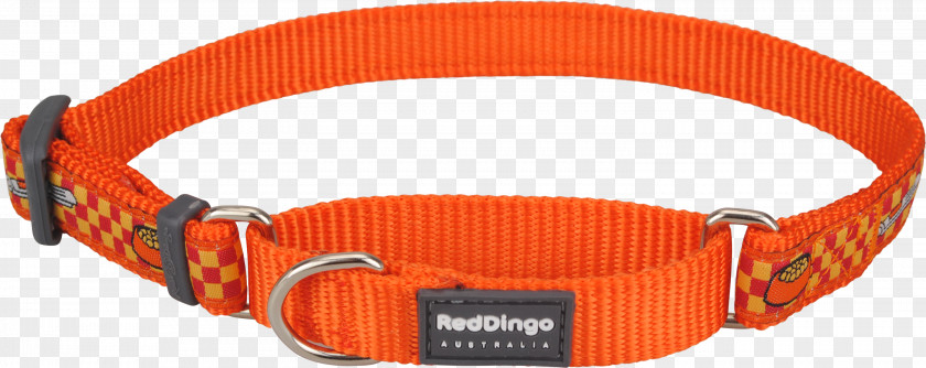 Cat Dingo Longdog Dog Collar Martingale PNG