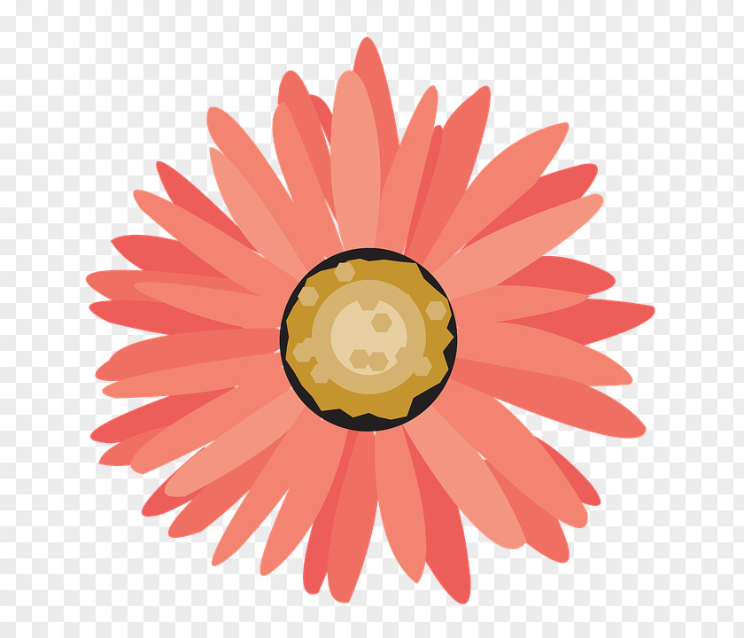Daisy PNG
