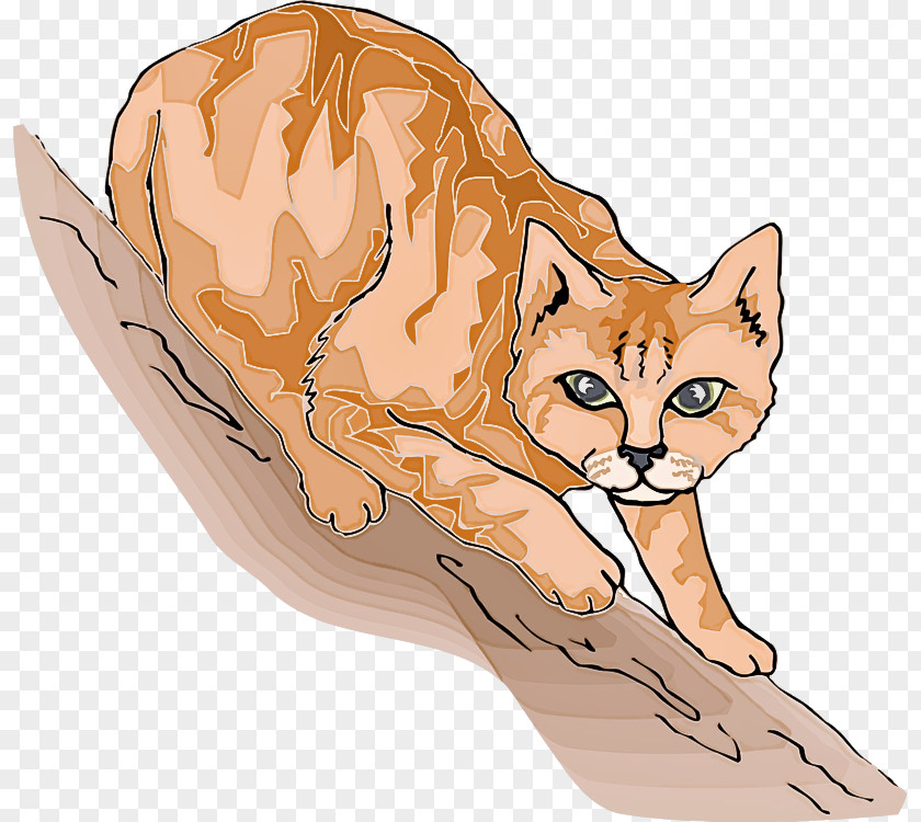 Fennec Fox Cat Small To Medium-sized Cats Wildlife Red PNG