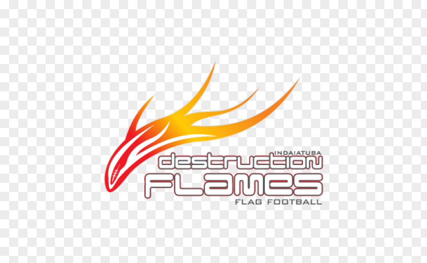 Flame Logo Design PNG