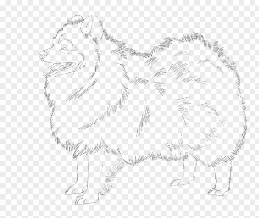 Painting Dog Breed German Spitz Japanese Line Art Sketch PNG