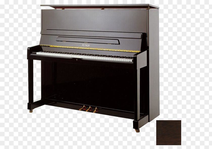 Piano Upright Petrof Musical Instruments PNG