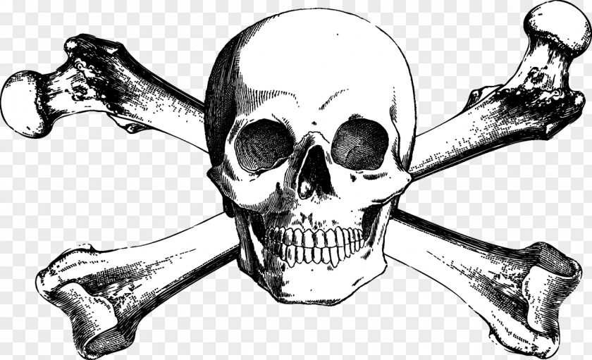 Skull And Bones Crossbones Drawing PNG