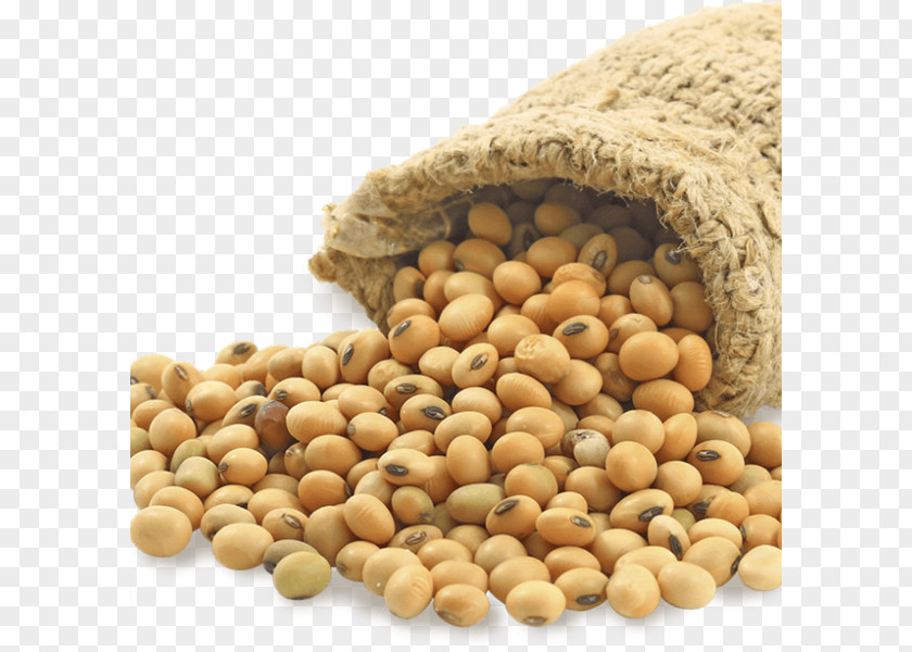 Soybean Meal Vegetarian Cuisine Food Lecithin PNG