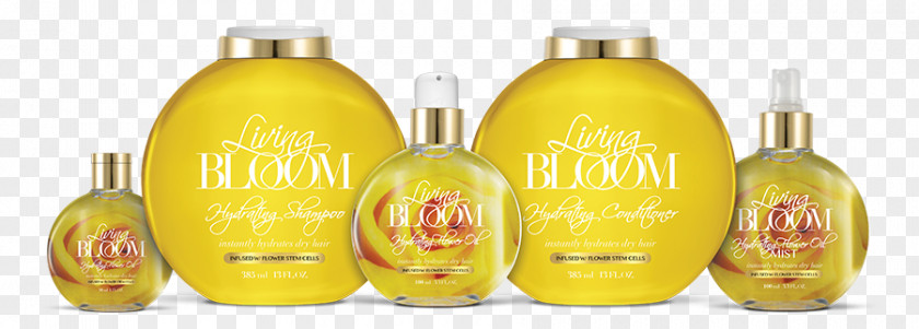 Sunflower Oil Common Hair Care Shampoo PNG