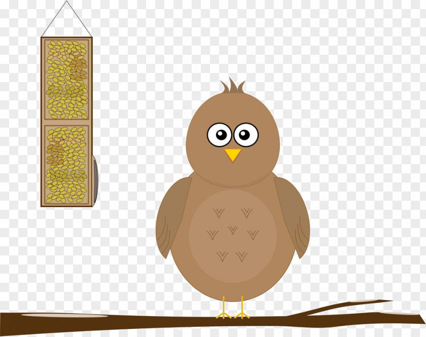 The Owl On Cartoon Branches Bird Illustration PNG