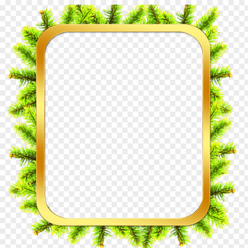 Tree Picture Frames Bark Clip Art PNG