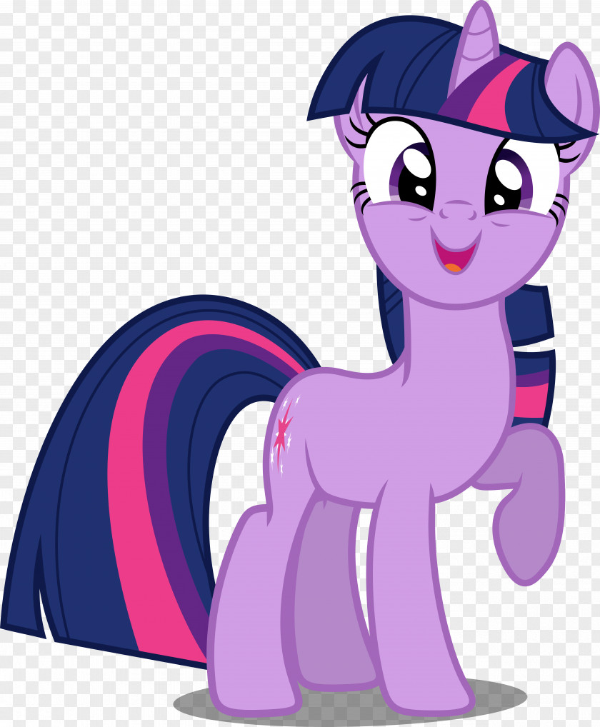 Twilight Rainbow Dash Sparkle Pony PNG