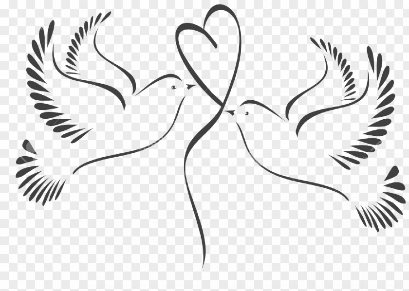 Wedding Pigeons And Doves Clip Art Vector Graphics Illustration PNG