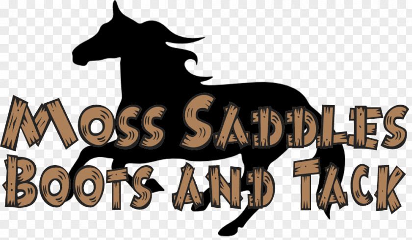 Horse Western Mustang Pack Animal Logo Tack Freikörperkultur PNG